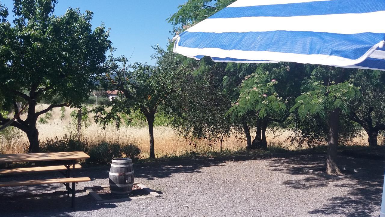 La Fenice B&B Montepulciano Stazione Dış mekan fotoğraf