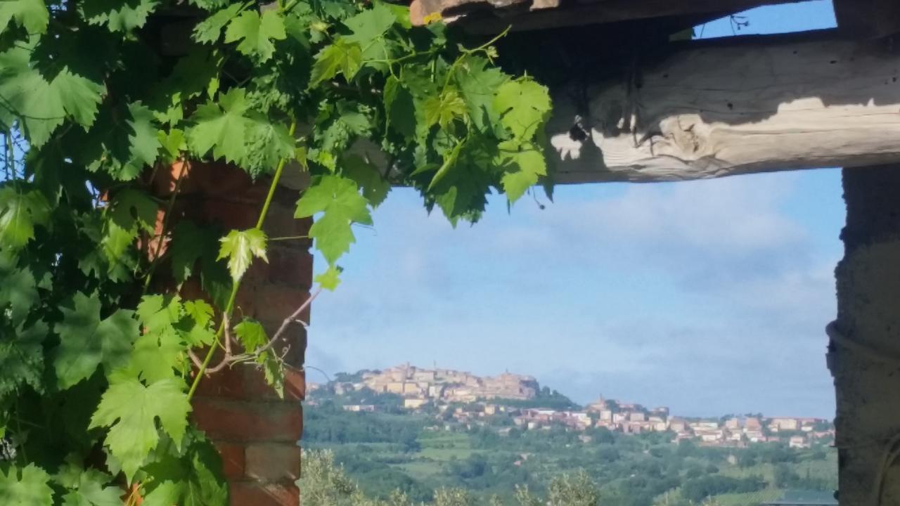 La Fenice B&B Montepulciano Stazione Dış mekan fotoğraf