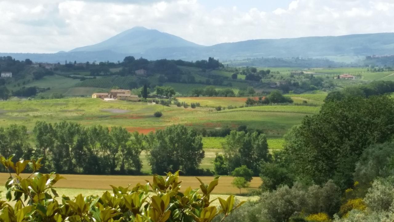 La Fenice B&B Montepulciano Stazione Dış mekan fotoğraf