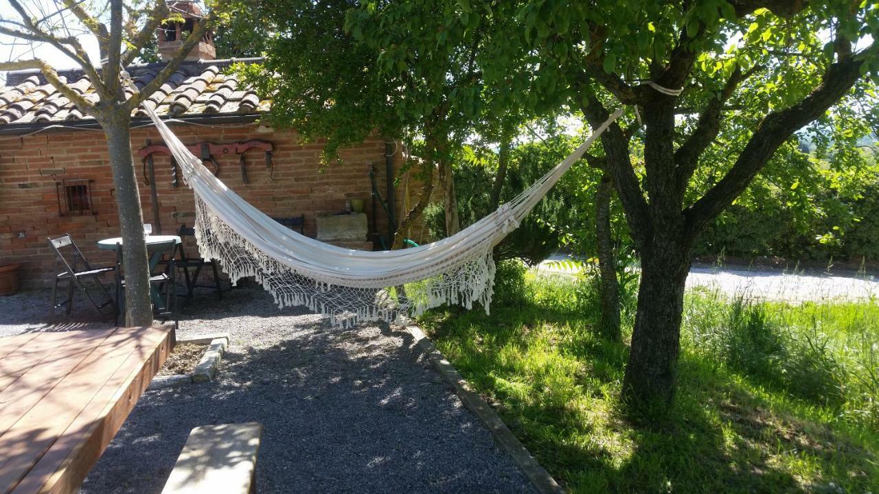 La Fenice B&B Montepulciano Stazione Dış mekan fotoğraf