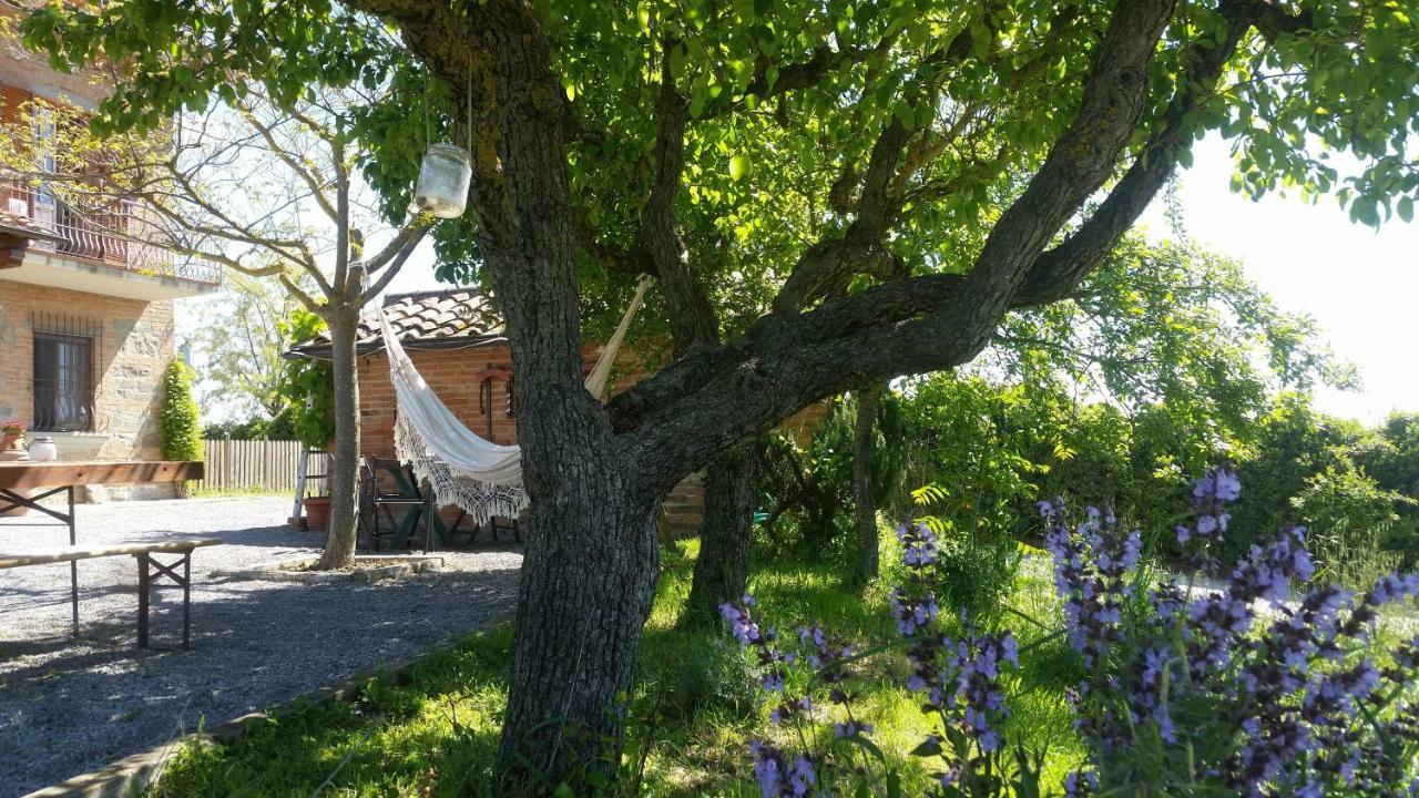 La Fenice B&B Montepulciano Stazione Dış mekan fotoğraf