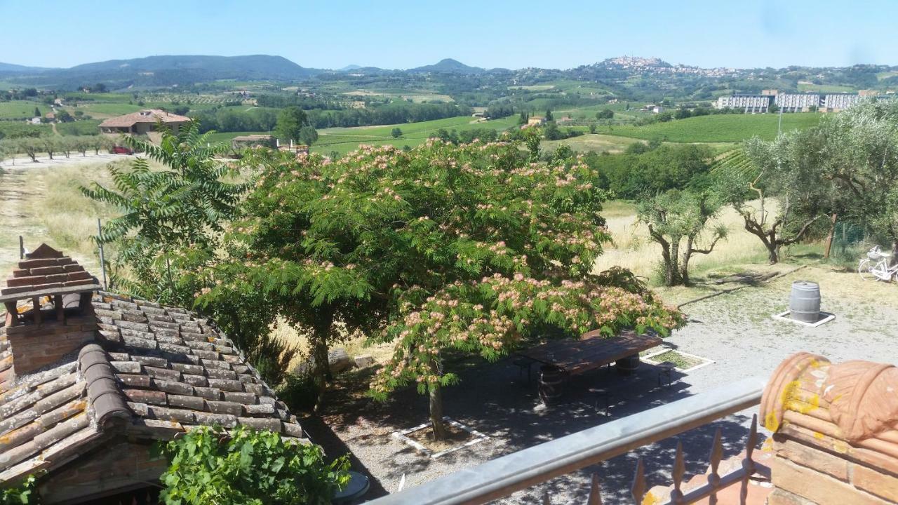 La Fenice B&B Montepulciano Stazione Dış mekan fotoğraf