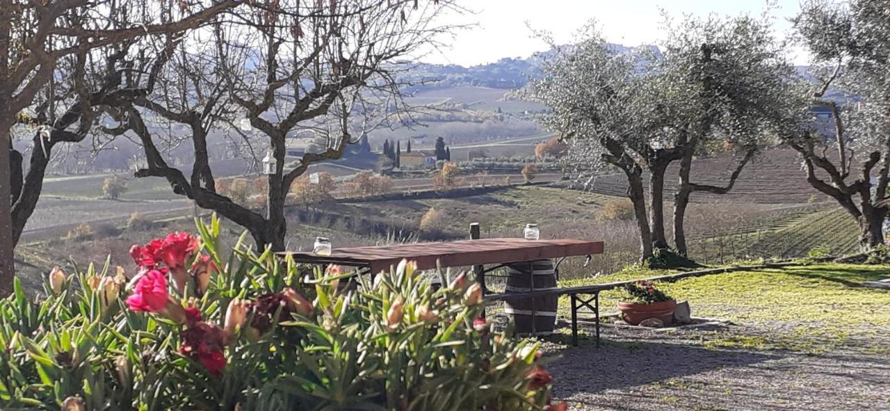 La Fenice B&B Montepulciano Stazione Dış mekan fotoğraf